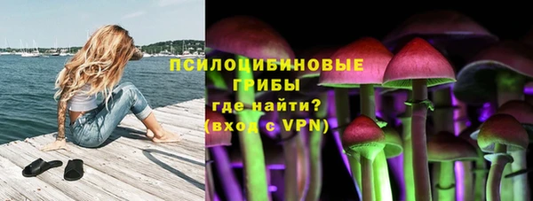 сатива Володарск