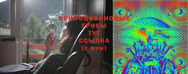 спайс Верхний Тагил