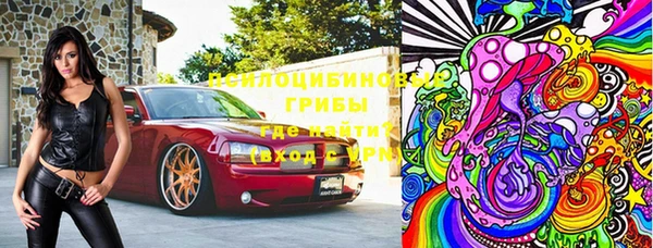 мдпв Верея